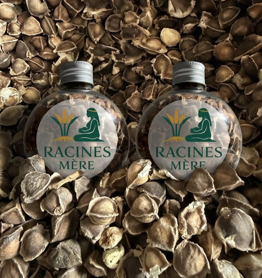 Graines de Moringa
